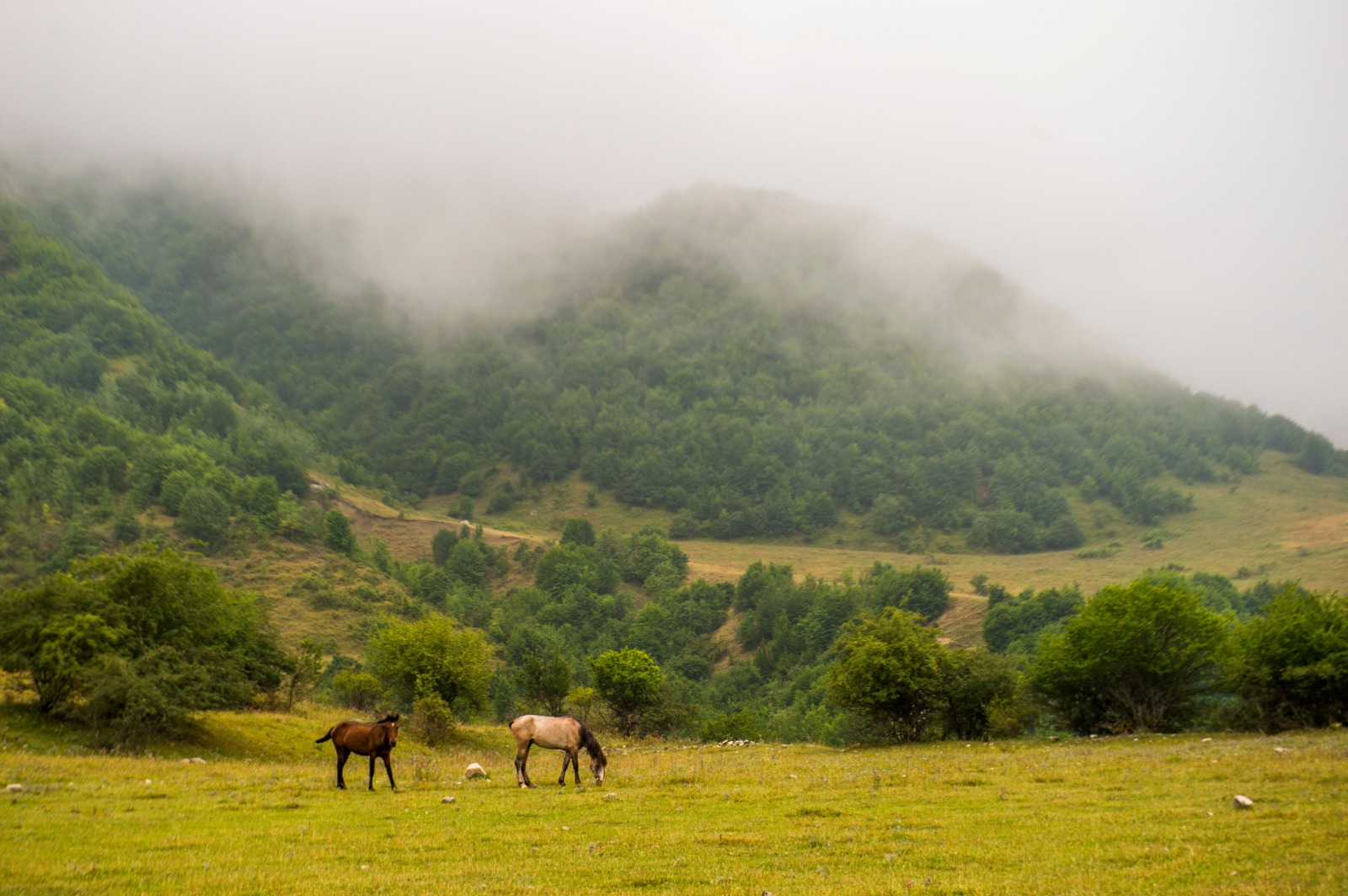 Misty hills above the steppe in Central Kazakhstan